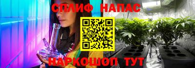 PSILOCYBIN Новозыбков