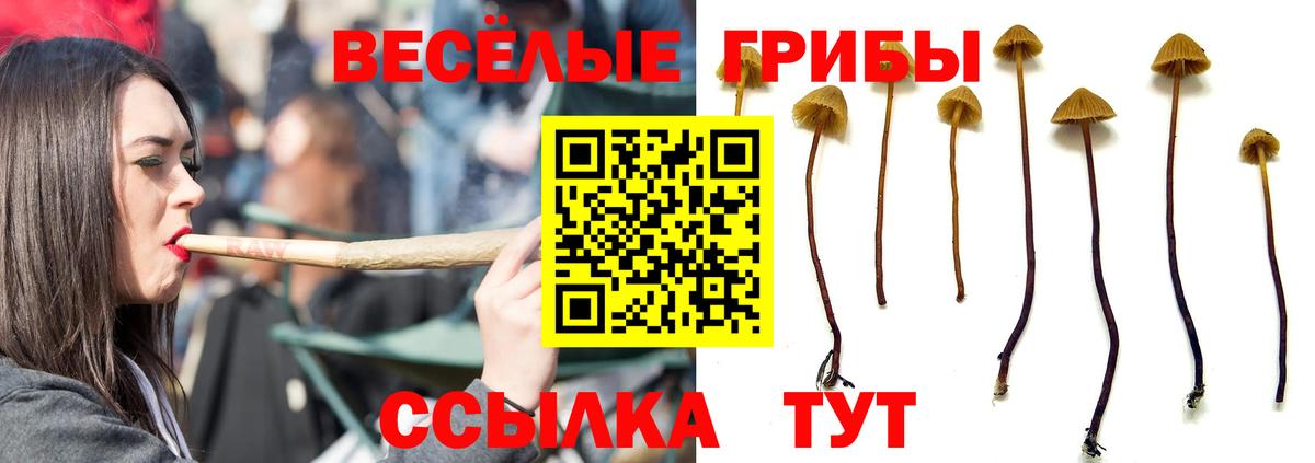 Псилоцибиновые грибы Magic Shrooms Чита